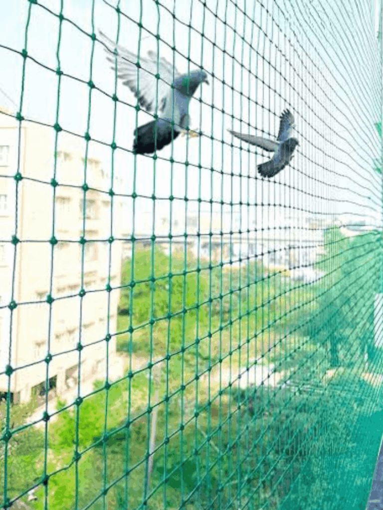 Pigeon safety nets